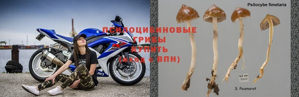 дурь Новозыбков