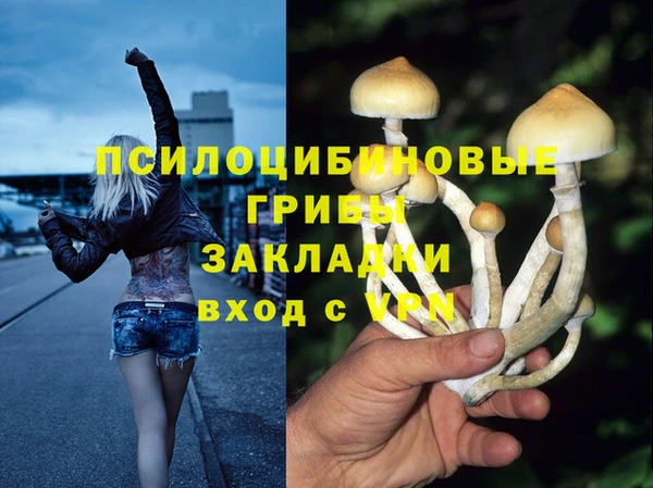 кокс Няндома
