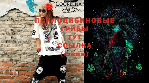 кокс Няндома