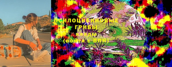 ПСИЛОЦИБИНОВЫЕ ГРИБЫ Новодвинск