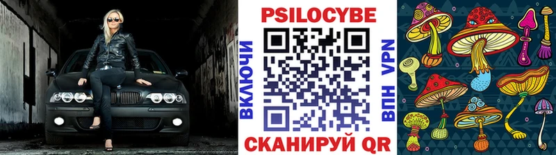 Псилоцибиновые грибы мицелий  Омск 