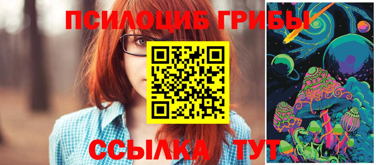 Псилоцибиновые грибы Psilocybine cubensis  Вход с VPN  Омск 