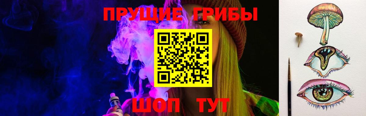 Псилоцибиновые грибы Psilocybe Омск