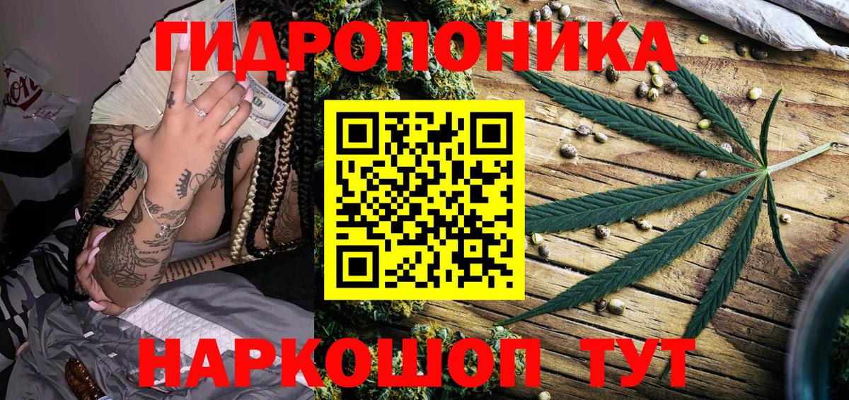 Марихуана планчик  Марихуана ГИДРОПОН  Конопля план  Омск 